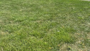 A row of motel buildings with a grassy lawn in front. - Relax Inn & Suites (Mattoon)