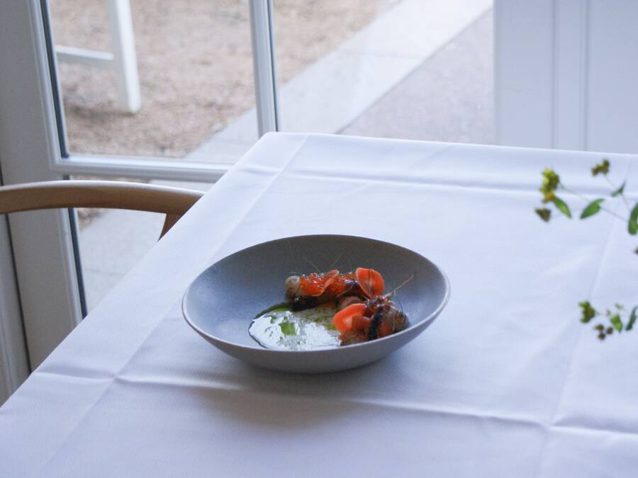 Une table avec un bol de nourriture, une chaise et une fenêtre.
