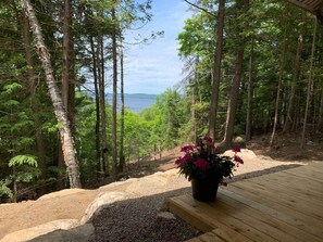 Property grounds - Private Chalet in Nature & Water / Near Algonquin (Barry's Bay)