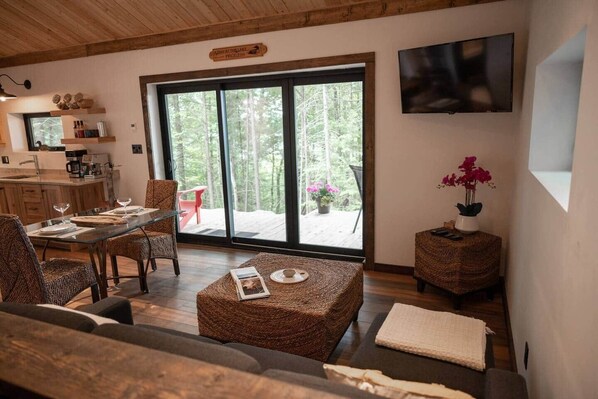 Smart TV, fireplace