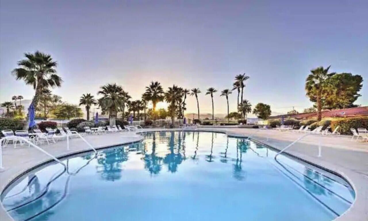 A swimming pool with lounge chairs and palm trees.