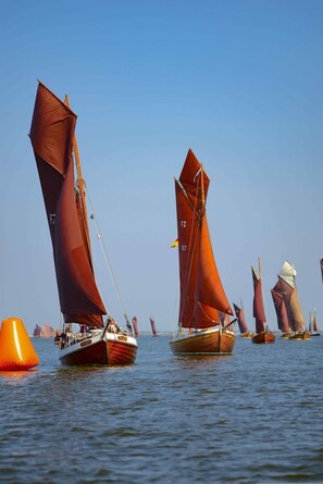 Imagen sin descripción, 5 de 40, botón