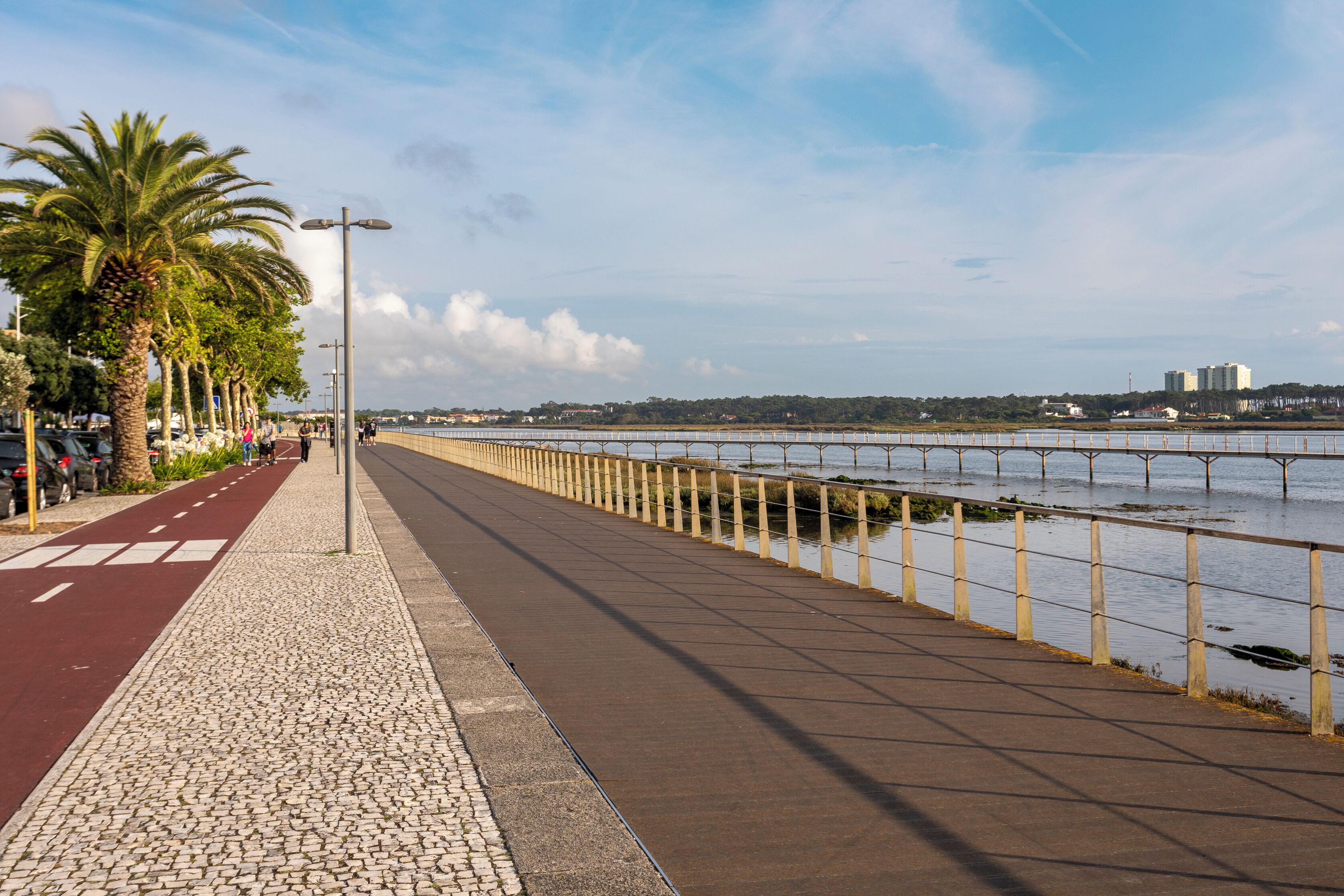 Un paseo marítimo con carril bici rojo, palmeras y vista al mar y edificios a lo lejos.