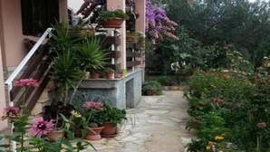 Apartment, Smoking | Exterior - Apartments Dragica - With Nice View (Zadar)