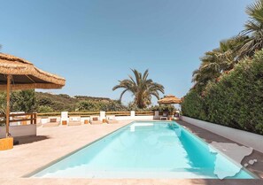 Une piscine entourée de verdure et de palmiers, avec des chaises longues et des parasols.