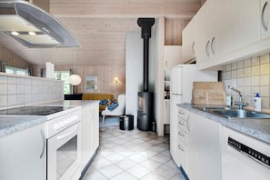 A modern kitchen with a stove, dishwasher, and a wood-burning stove.