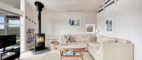 TV, fireplace, DVD player