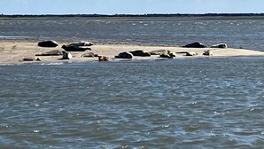 A beach with rocks and sand, and a body of water in the background.