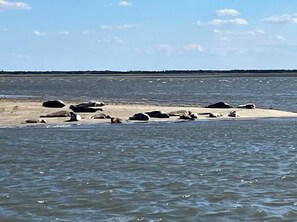 Una playa con rocas y arena, y una masa de agua al fondo.