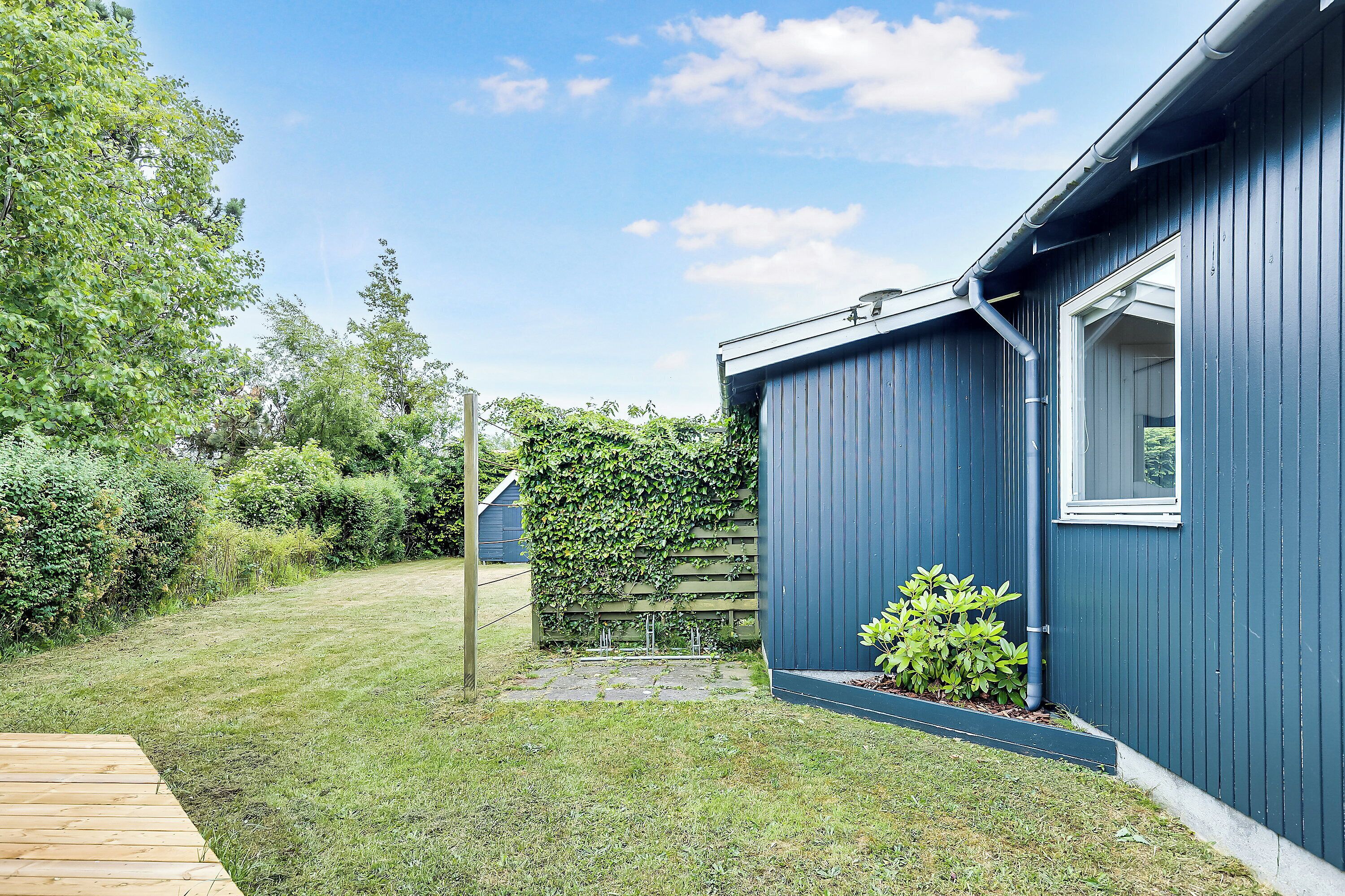 A blue building with a window, a wooden deck, and a grassy yard with a hedge.
