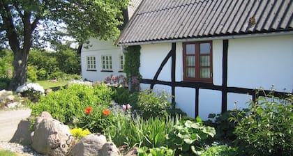 Holiday on the island Funen - incl. consumption