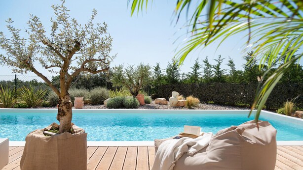 Area piscina con un pontile in legno, sdraio e un albero.