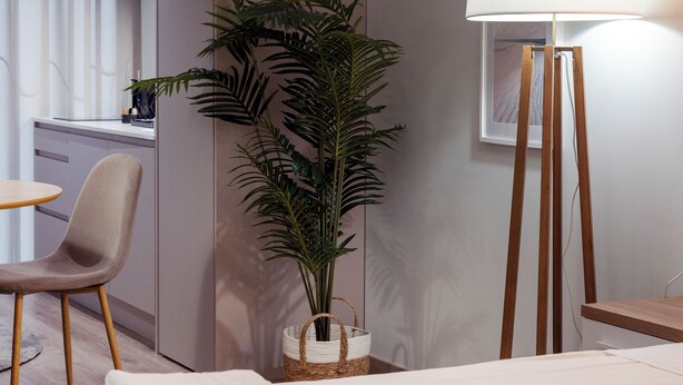 A modern hotel room with a bed, a chair, a potted plant, a lamp, and a framed picture on the wall. - VLC HOST - Reino 4 (Valencia)