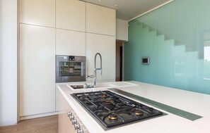 Fridge, oven, stovetop, cookware/dishes/utensils