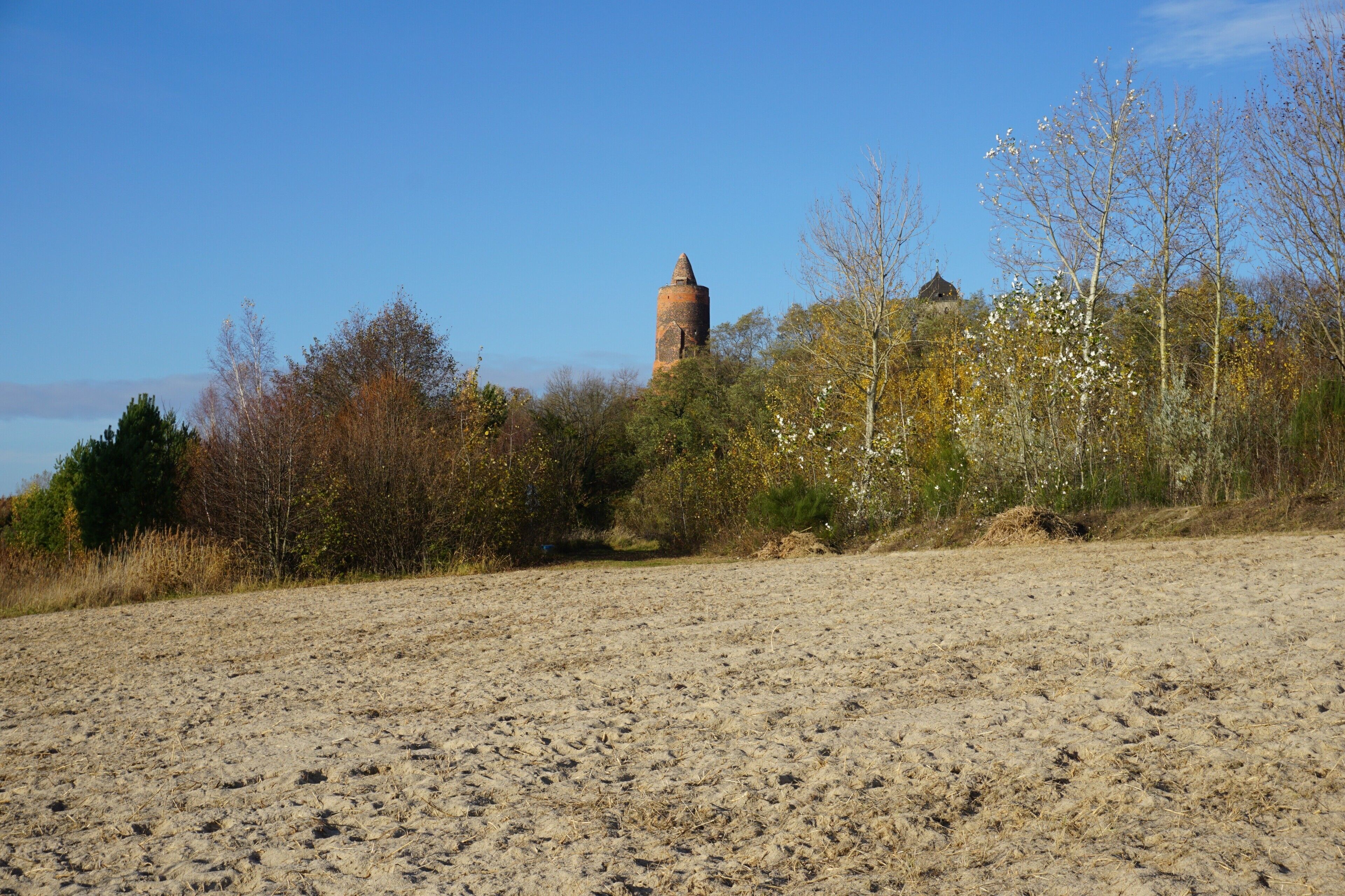 Ein sandiger Strand mit einem Turm und Bäumen im Hintergrund.