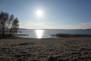 A beach with sand, water, and trees.