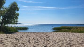 Une plage de sable avec un lac paisible, des bancs et un arbre.