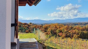 A wooden ceiling structure, a concrete staircase, and a vineyard view.