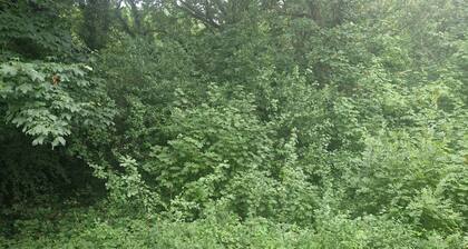 Immaculate 1-Bed Apartment in Woodford Green