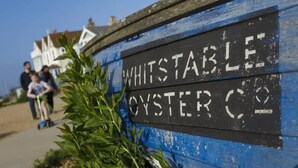 A sign for Whitstable Oyster Co. with a rustic blue and black color scheme. - Modern & Brand New Apartment in Whitstable Centre (Whitstable)