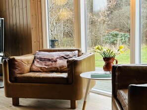 Tv, pejs, dvd-afspiller