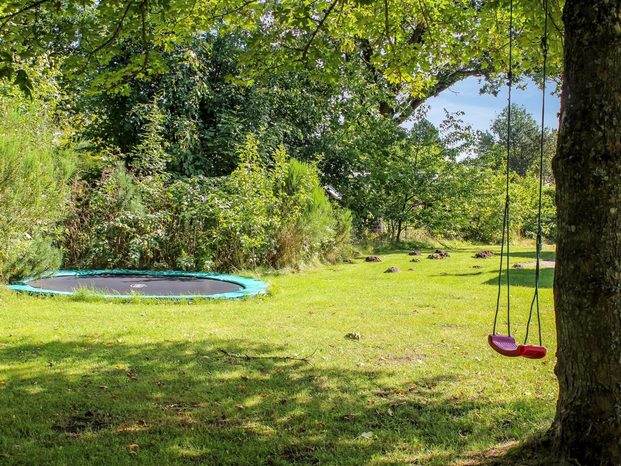 A trampoline surrounded by lush greenery and trees.