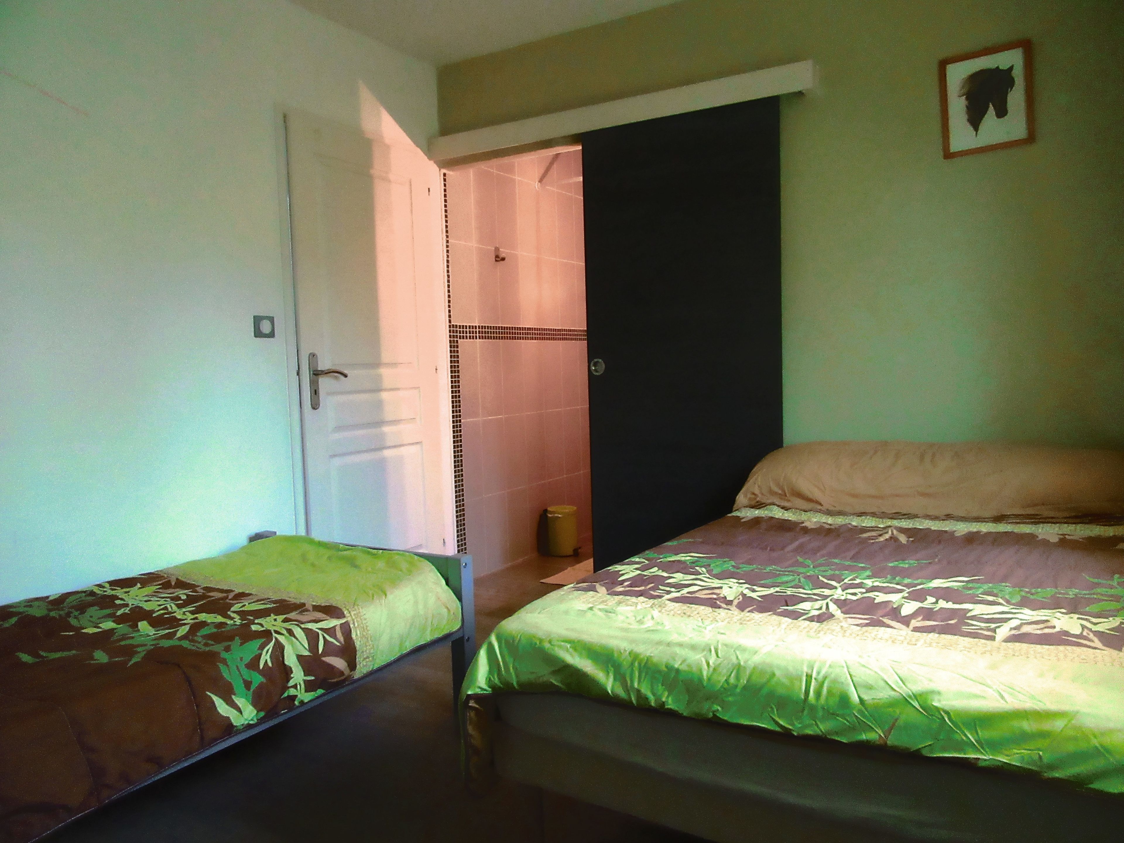 Ein Zimmer mit zwei Betten, eines mit einer grünen Tagesdecke, das andere mit einer gemusterten Tagesdecke. Eine Tür führt zu einem Badezimmer mit einer Duschvorhang.