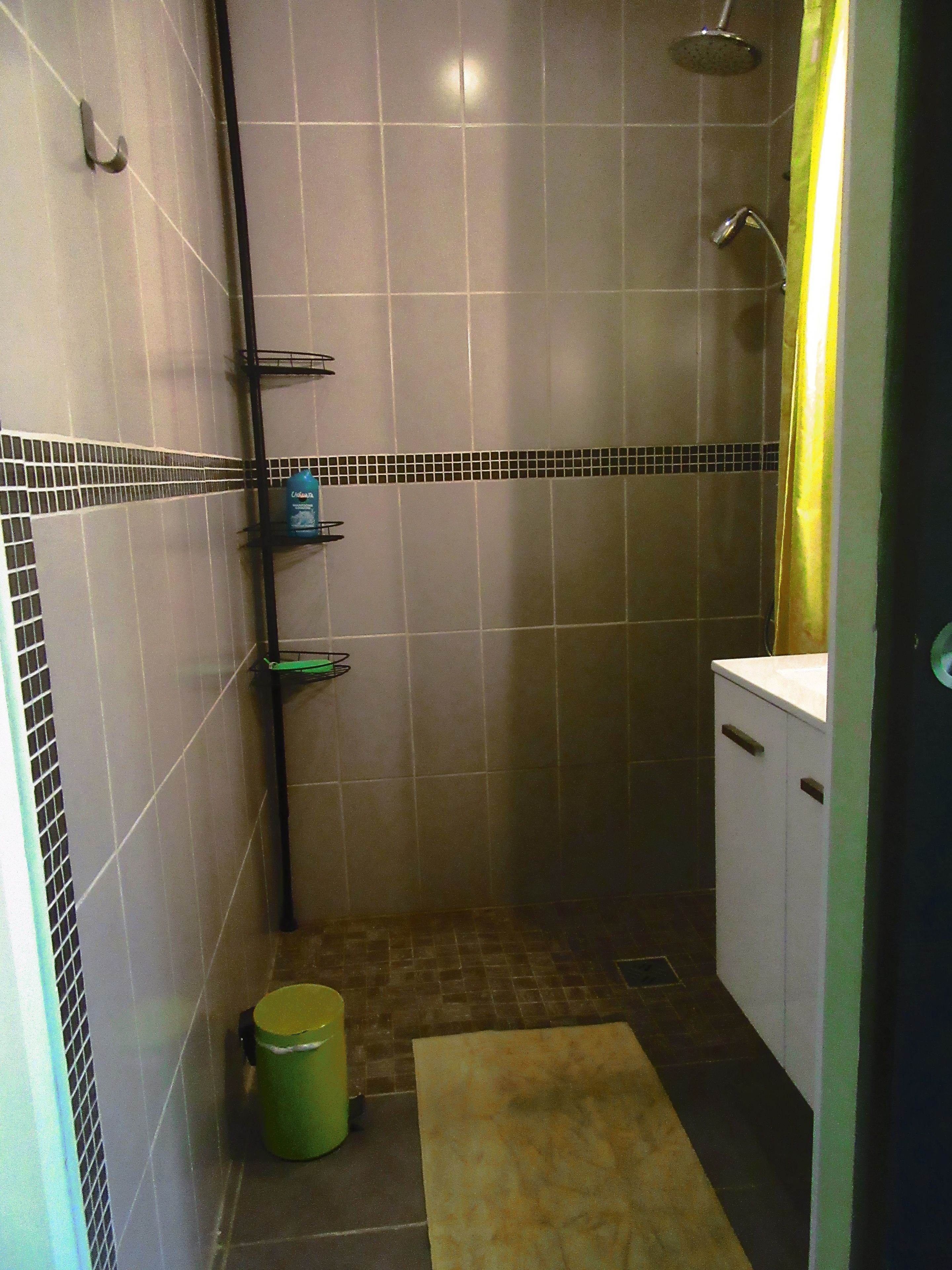 A small bathroom with a shower, a toilet, and a sink. There are shelves with toiletries and a green trash bin.