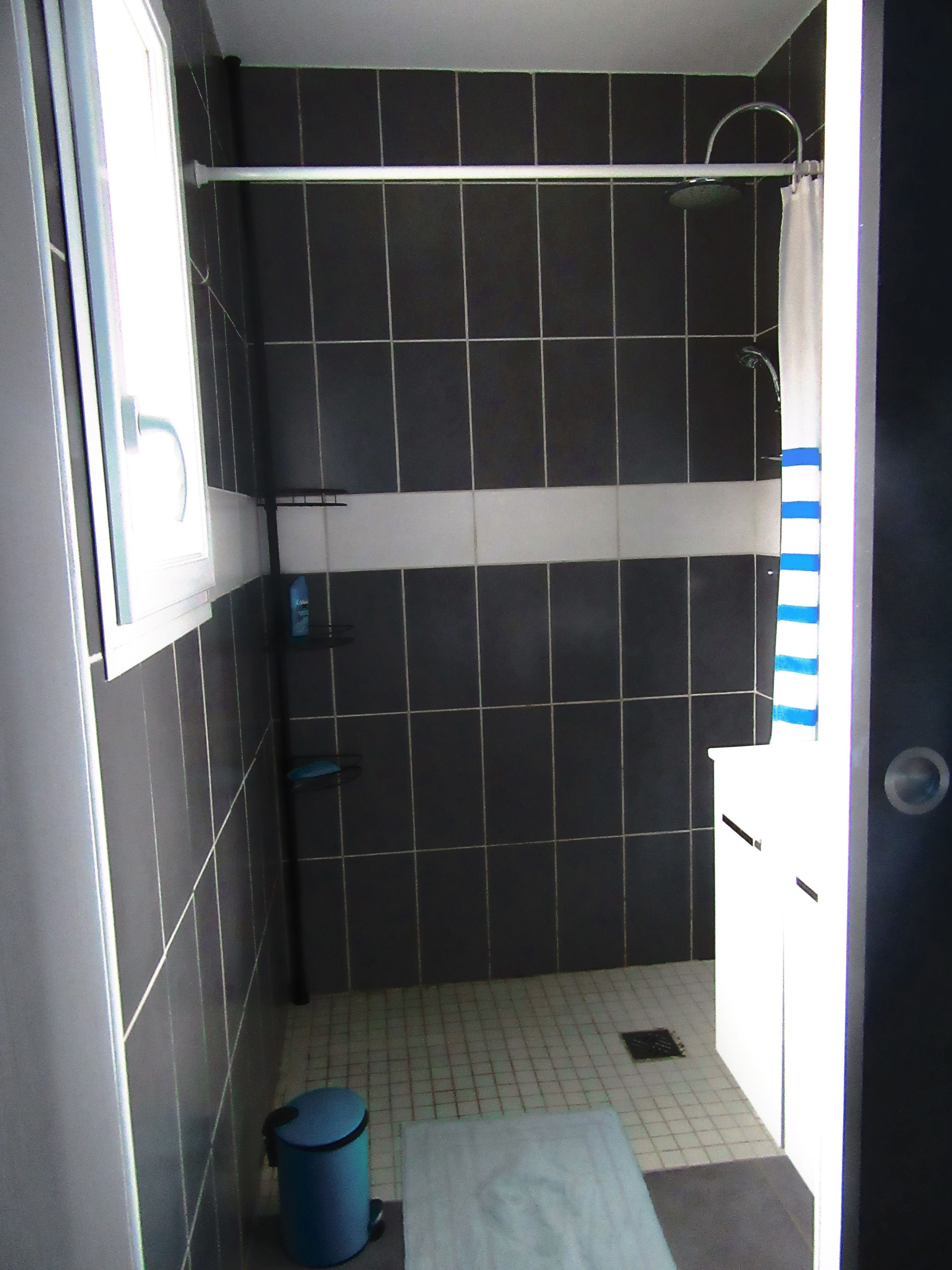 Ein kleines Badezimmer mit dunklen Fliesen, einer Dusche, einem weißen Waschbecken und einem blauen Mülleimer.