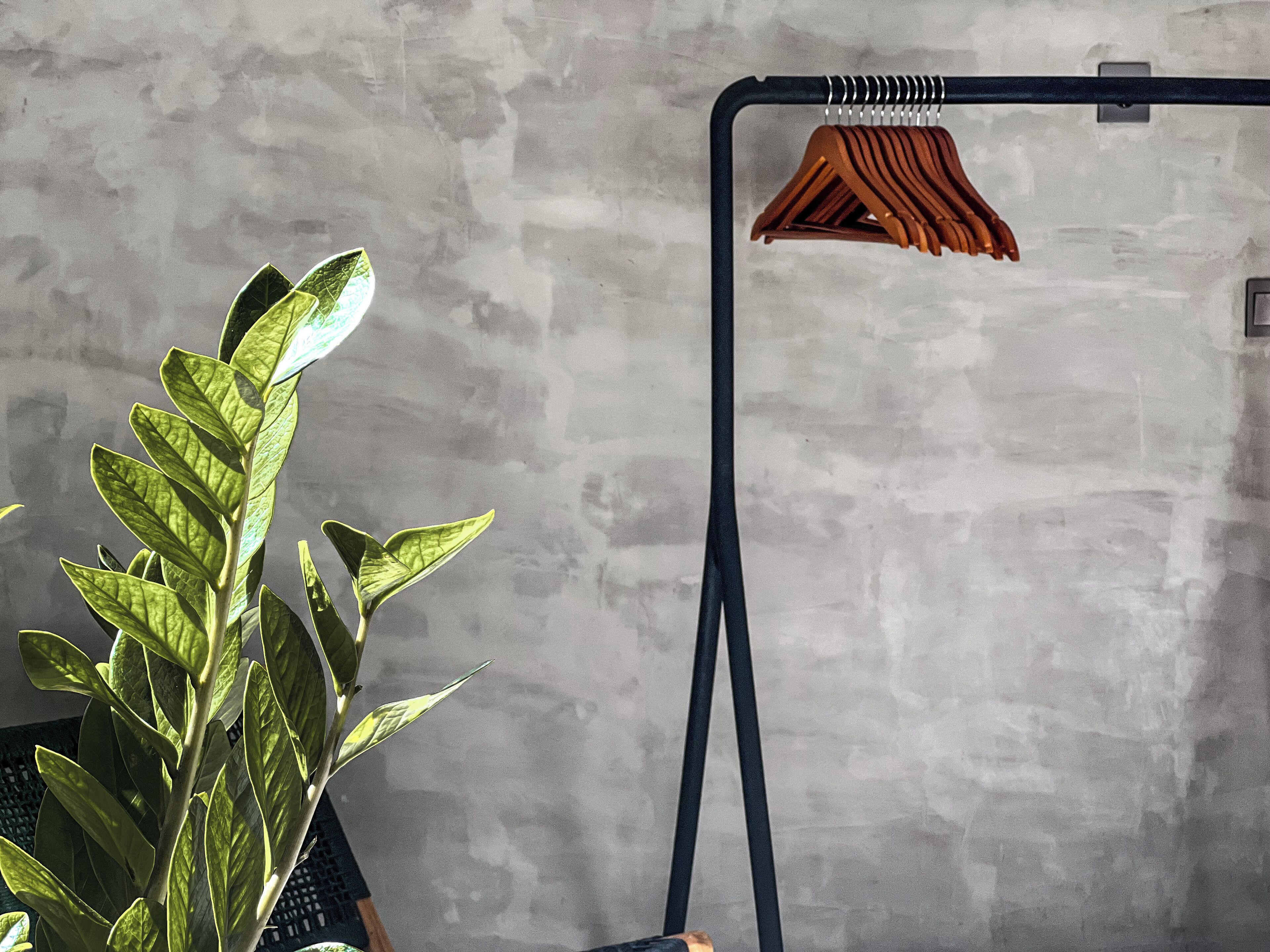 A plant with broad leaves in a corner, a black metal stand with a wooden hanger, and a textured wall.