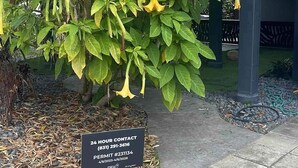 A garden with a sign indicating a 24-hour contact number and permit details. - Luxury Aptos Home - Ocean Views & Hot Tub! (Aptos)