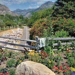 A paved road leading through a mountainous area with a wooden fence and a variety of colorful flowers.