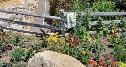 30% OFF SPECIAL! Skiers Dream, Newly Built, BBQ, Patio, Views, Dedicated Hot Tub