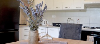 Cozy Apartment Harmony