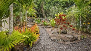 A tropical garden with a gravel path, various plants, and a stone wall. - Panoramic view of ocean.  Excellent location. Quiet neighborhood. Sleep 10 (Kailua-Kona)