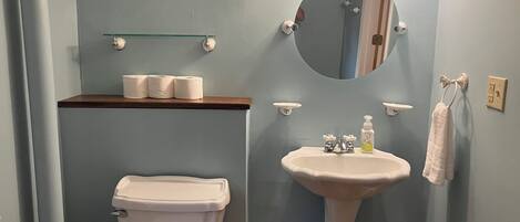 Shower, jetted bath, hair dryer, towels