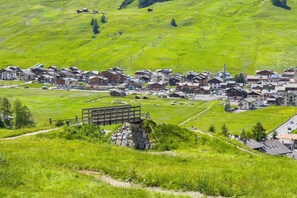 Exterior - Wood House Livigno Ski in - Ski out 10m (Livigno)