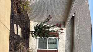 A two-story building with a stone facade, a front door with a wreath, and a small front yard with a hedge and a tree. - North Lamar hideout  (Oxford)