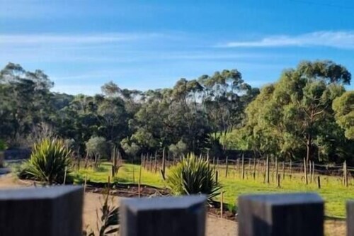 Winemakers Cottage, Winemakers Cottage - vineyard views