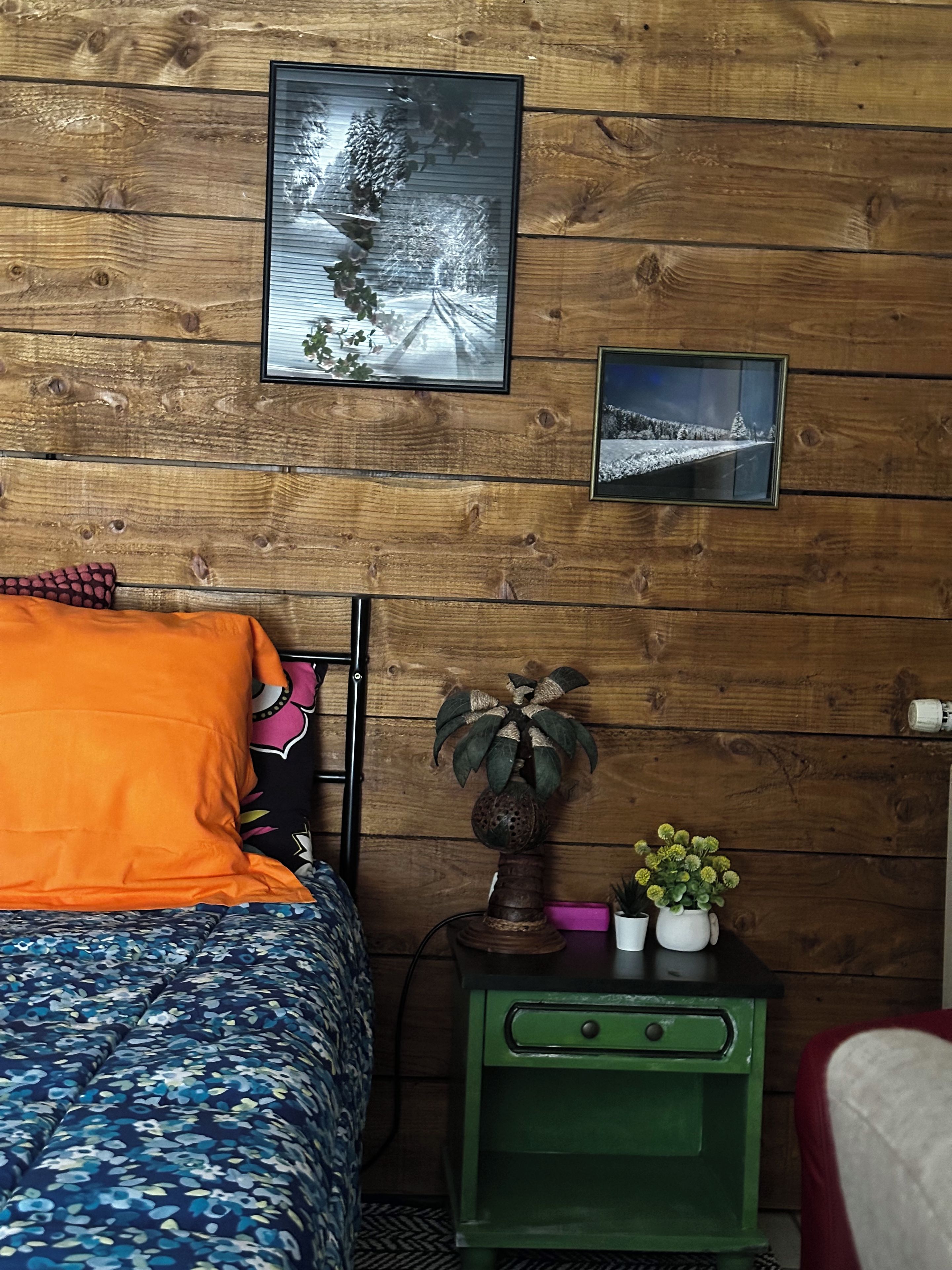 Una habitación con pared de madera, cama con almohada anaranjada, mesita de noche verde con una planta y dos cuadros enmarcados.