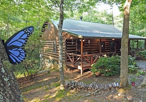 Exterior - Laurel Creek- Creekfront- Hot Tub- Wifi- Pets ok (Blue Ridge)