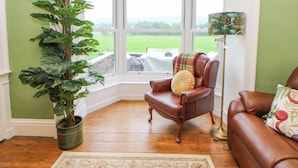 A corner room with a large potted plant, a leather armchair, a wooden floor, and a view of a green field through a window.