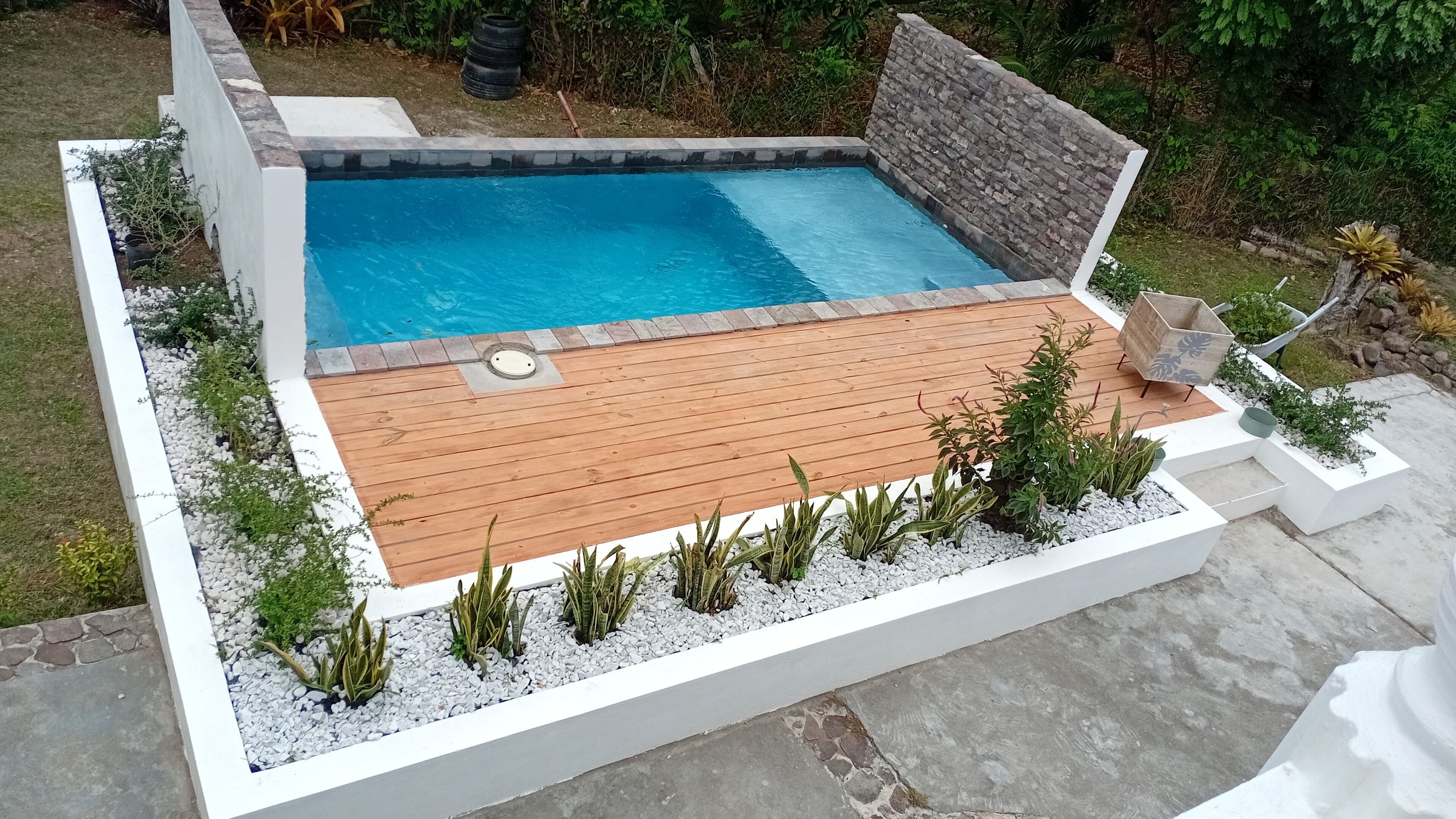 Ein rechteckiger Pool mit Holzdeck und weißem Rand, umgeben von Pflanzen und Kies.
