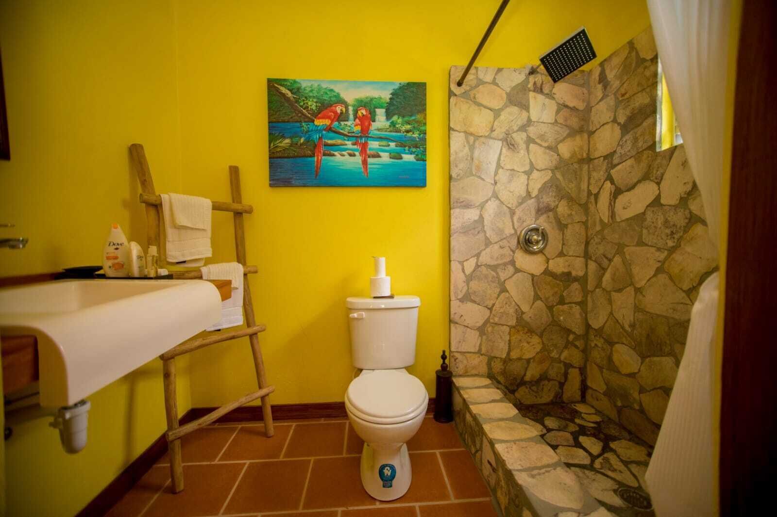 Secador de pelo, toallas, jabón y papel higiénico