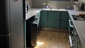 A kitchen with teal cabinets, a black refrigerator, a window with a view, and a sink.