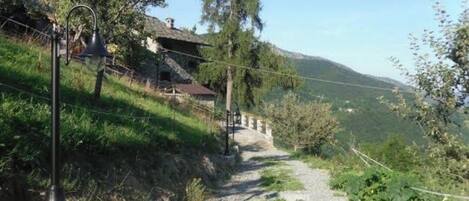 A rural pathway leading to a house with a stone foundation, surrounded by greenery and trees.