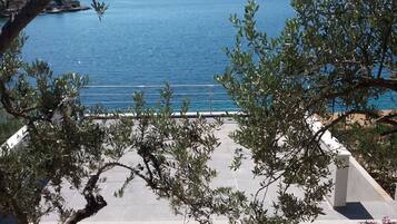 A coastal view with a clear sky, a body of water, and a landscaped garden with rocks and plants.