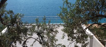 Holiday Rental House