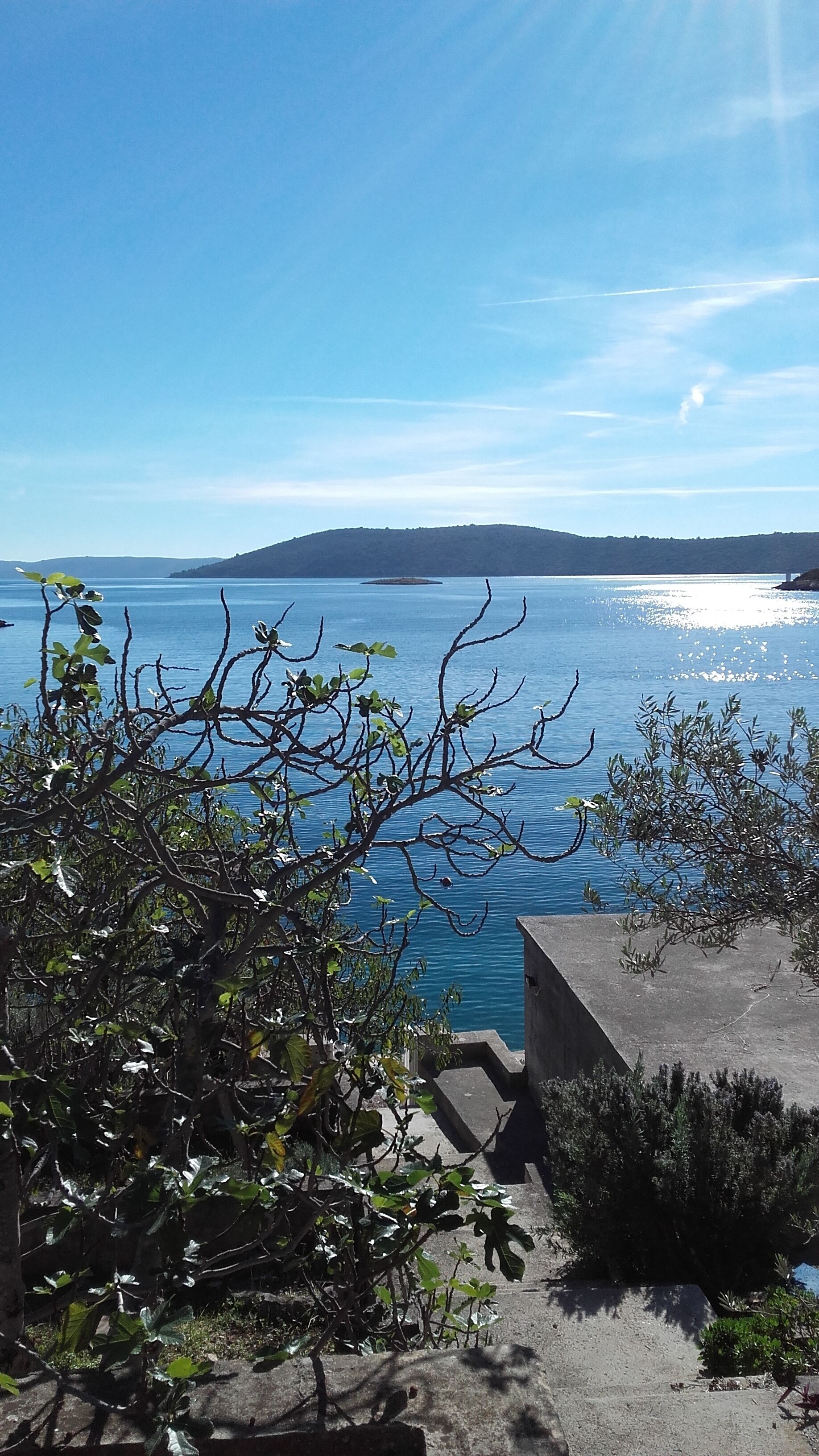 A coastal view with a concrete structure and vegetation in the foreground.