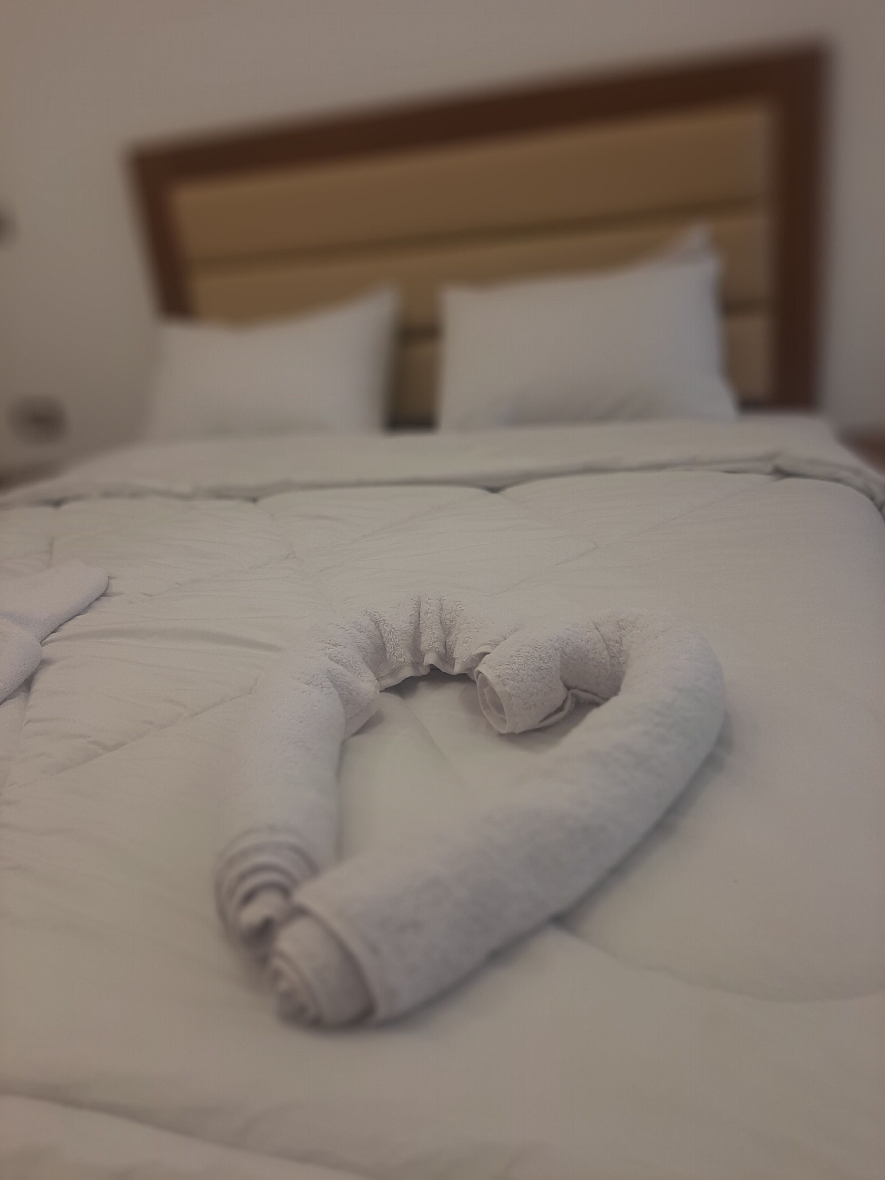 Foto - Pyramids fort hotel